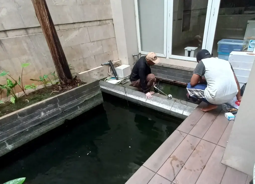 Fish Pond & maintenance