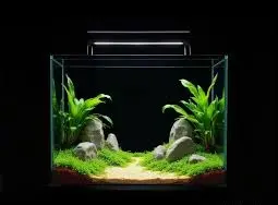 Terrarium Nikita (S) + Light