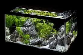 Aquascape 31x18x24cm