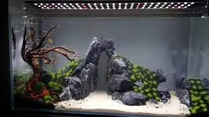 TankTerra