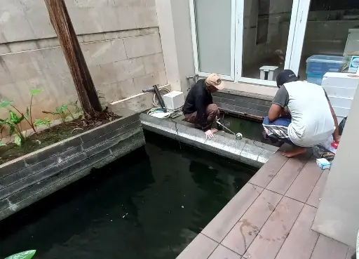Fish Pond & maintenance